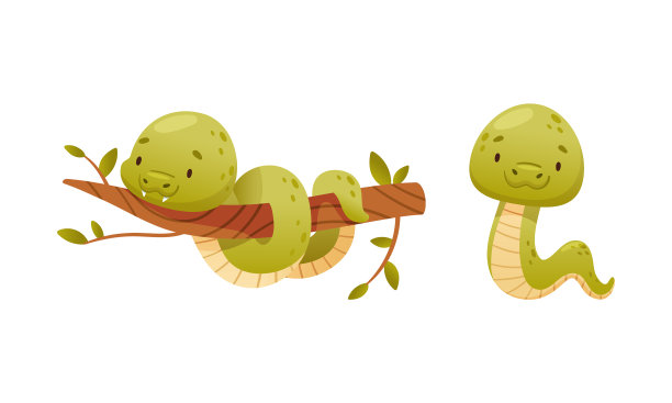 可爱的绿色小蛇作为爬行生物盘绕图片下载