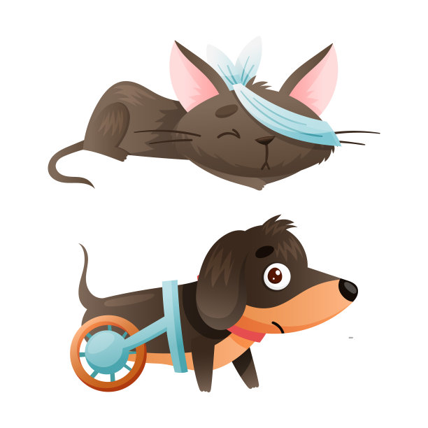 生病的猫和狗，眼睛上有绷带图片下载