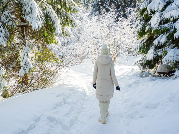 冬天的山林图片下载