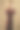 系列工作室照片的年轻女模特在酒红色天鹅绒长毛绒中长裙，秋季时装收藏。图片下载