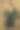 系列工作室照片的年轻女模特在翠绿色长毛绒迷你连衣裙，秋冬时装收藏。图片下载