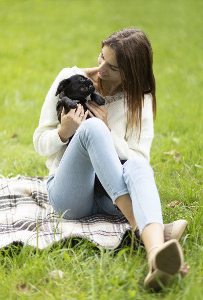 在绿色公园外，白色宠物主人与可爱的巴哥犬“小布拉班松布鲁塞尔格里芬”交谈。采用短口狗，人犬结合。动物保健。垂直平面图片下载