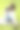 在绿色公园外，白色宠物主人与可爱的巴哥犬“小布拉班松布鲁塞尔格里芬”交谈。采用短口狗，人犬结合。动物保健。垂直平面图片下载
