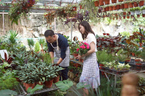 在花房工作的园丁图片下载