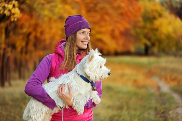 秋天森林里的女人和她的狗的特写照片图片下载