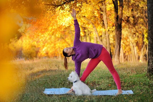 女子在森林里练习瑜伽时摆出三角形的姿势图片下载