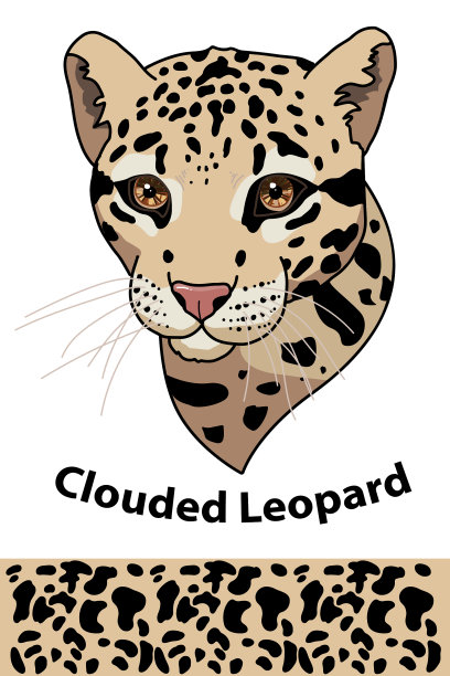 野生动物云纹豹头图片下载