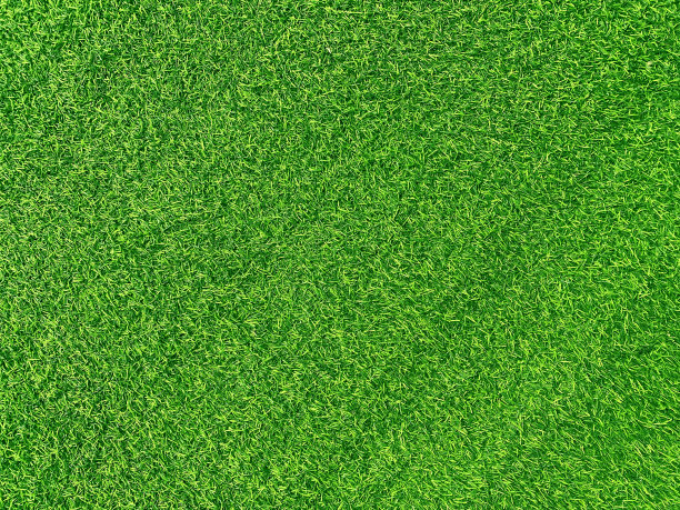 绿色草坪纹理背景草坪花园概念用于制作绿色背景足球场，草地高尔夫，绿色草坪图案纹理背景。图片下载