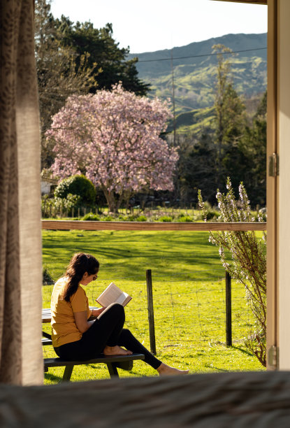 一个女人在读一本关于农村的书。从机舱内部的视角图片下载