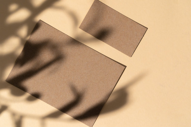 空白白色名片在米色背景与创造性的花卉阴影图片下载