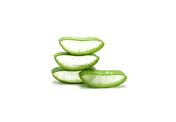 芦荟新鲜的叶子孤立在白色的背景图片下载