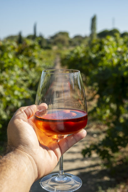 玫瑰酒在男人手上，前景葡萄园是在背景垂直照片图片下载