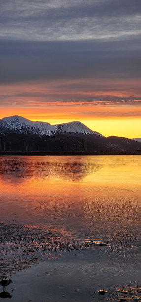 反映在黎明图片下载