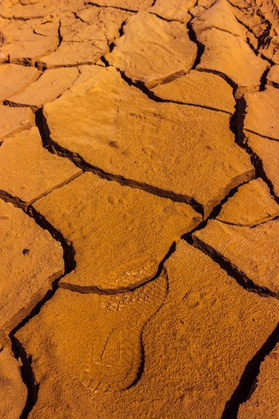 贫瘠土地上的足迹图片下载