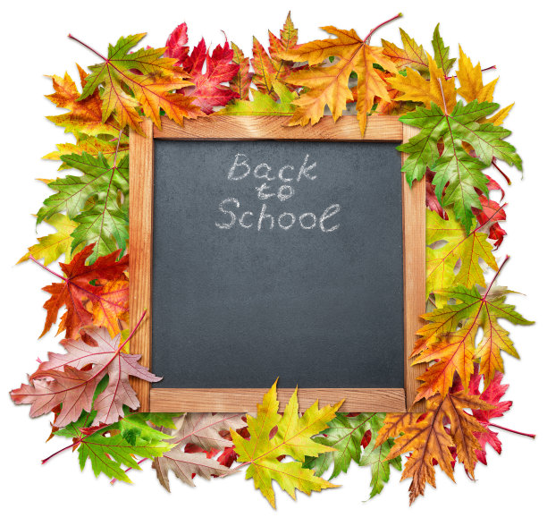 在五彩缤纷的秋叶中回到学校。白色背景。图片下载