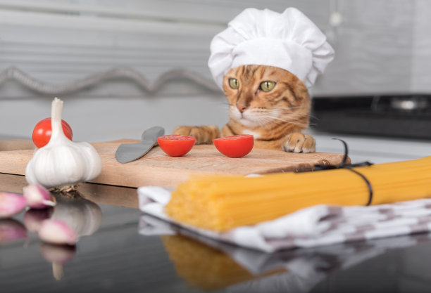 戴着厨师帽的猫坐在桌子旁，拿着做圣女果意面的原料。图片下载