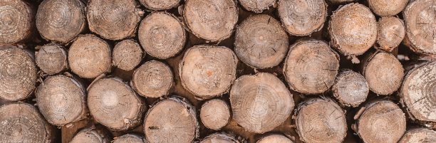木材纹理背景有许多原木，从切割图片下载