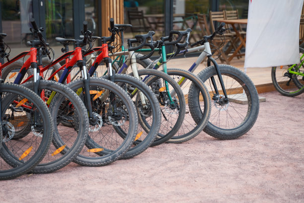 自行车停放在大楼旁边。自行车出租。图片下载