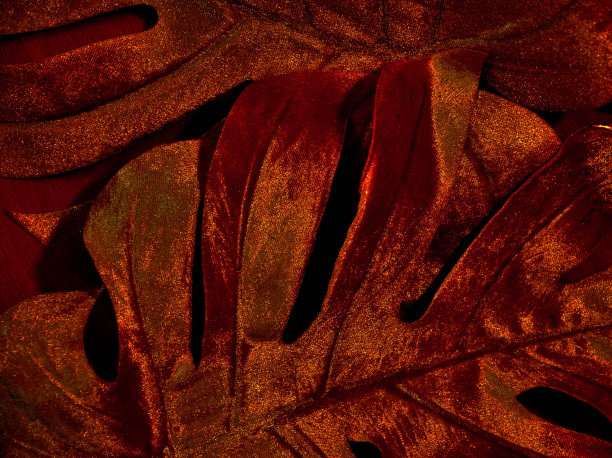 青铜树叶作为背景图片下载