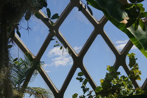 几何温室的钻石窗图片下载