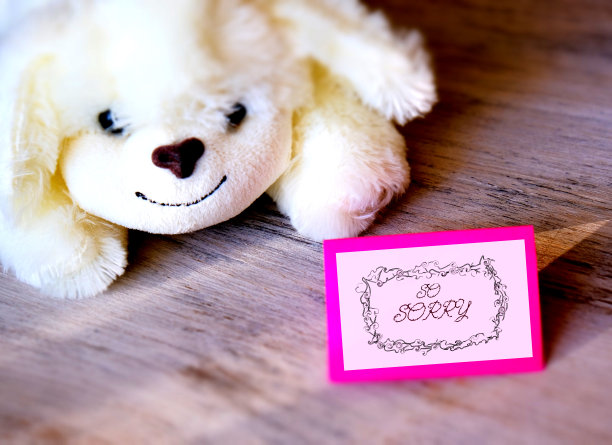 卡片与如此抱歉的文字和蓬松柔软有趣的白色狗玩具图片下载