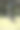 西部灰袋鼠的育儿袋里有一只小袋鼠图片下载