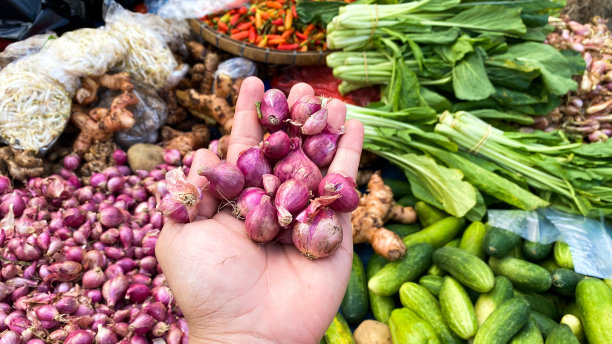街头市场的红洋葱照片图片下载