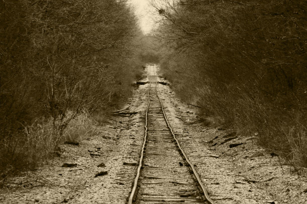 古色古香的照片森林危险损坏农村火车轨道运输铁路农村运输铁路废弃图片下载