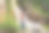 站在森林瀑布旁的年轻女子。男性徒步旅行者在大自然中图片下载