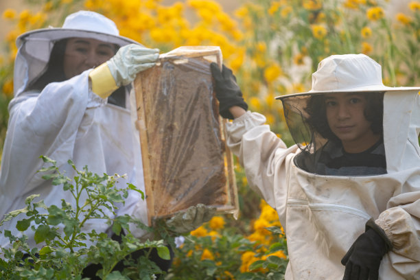 穿着养蜂人防护服的母子照片图片下载