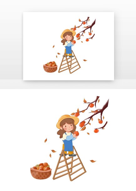 霜降摘柿子儿童图片下载