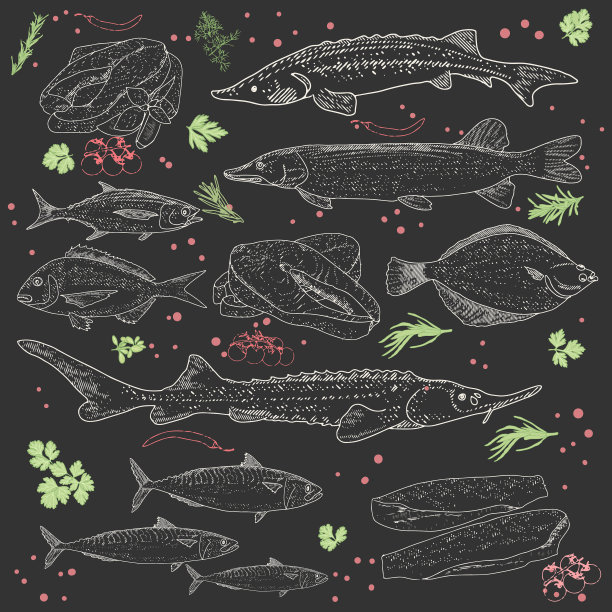 海鲜和鱼类古董收藏图片下载