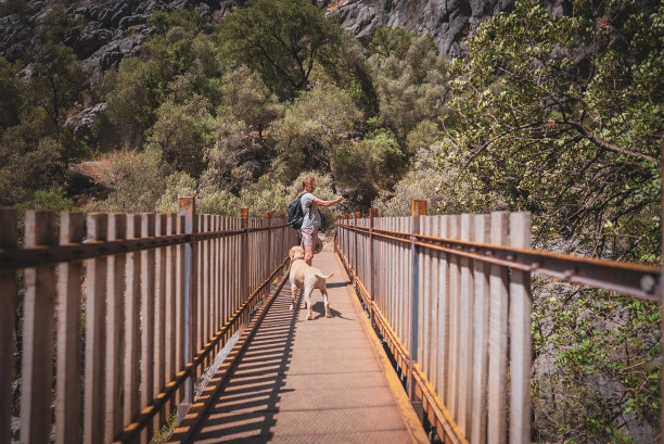 这位女旅行者在峡谷峡谷的桥上用手机和她的狗拍照和自拍。图片下载