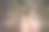 这位女旅行者在峡谷峡谷的桥上用手机和她的狗拍照和自拍。图片下载