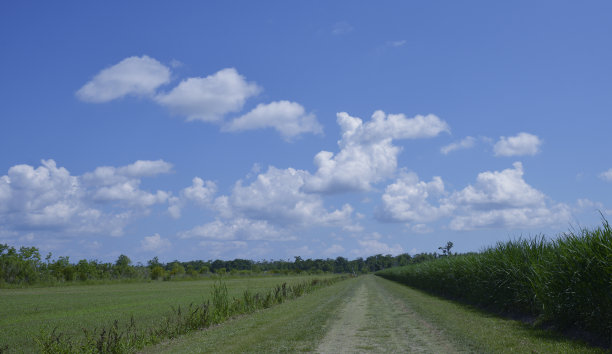 路易斯安那州海湾风光图片下载