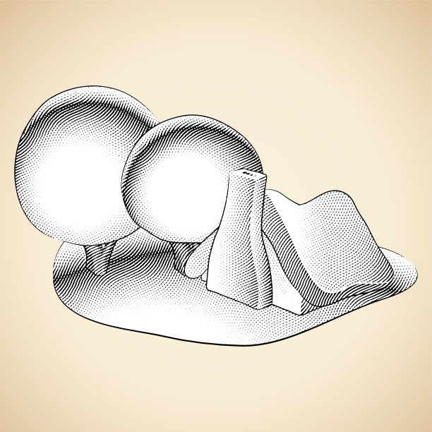 Scratchboard雕刻的童话房子和圆树在花园与白色填充图片下载
