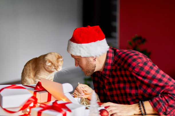 兽医戴着圣诞帽，手里拿着猫，为新年和圣诞节制作贺卡图片下载