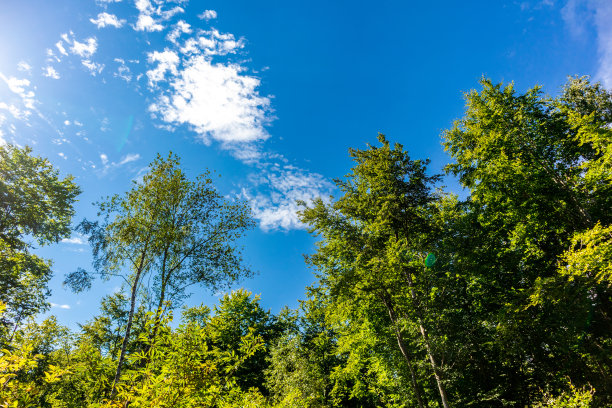 周日参观Bad Frankenhausen附近美丽的Kyffhauser图片下载