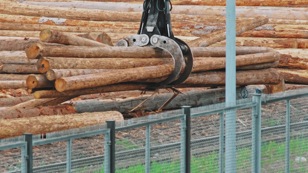 重型机械工业抓斗装载机在木材厂堆放树干木材的长原木户外仓库储存图片下载