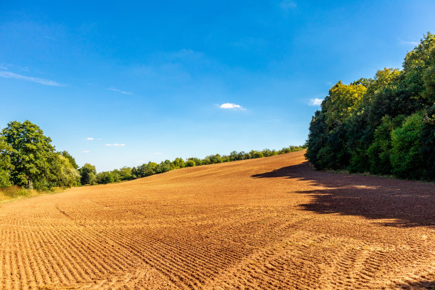 周日参观Bad Frankenhausen附近美丽的Kyffhauser图片下载