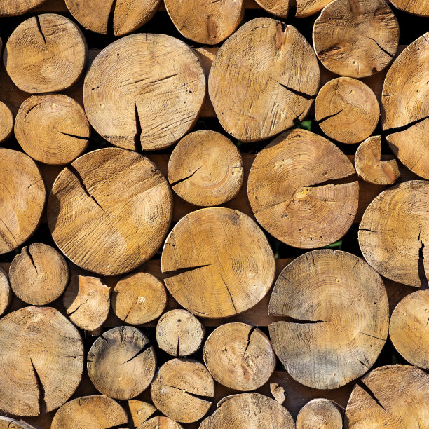 原木纹理的照片和设计。图片下载