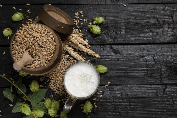 啤酒杯与绿色啤酒花和小麦在木制黑色背景图片下载