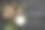啤酒杯与绿色啤酒花和小麦在木制黑色背景图片下载