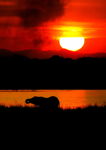 非洲日落图片下载