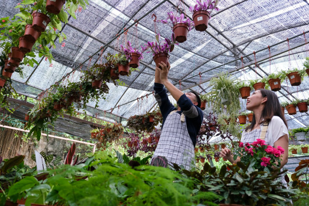 亚洲园丁得到悬挂的花盆图片下载