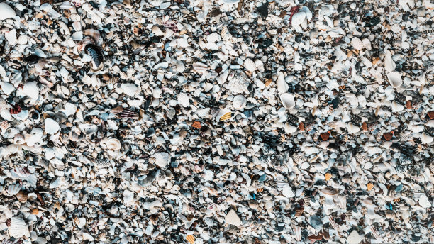 夏日沙滩上的贝壳特写。抽象海洋背景图案收集图片下载