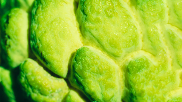 抽象神秘的背景美自然壁纸。真实照片特写微距糖蛋奶苹果番荔枝异国情调的热带水果。椭圆形鳞状皮肤质地表面粗糙。明亮的黄绿色柠檬色图片下载