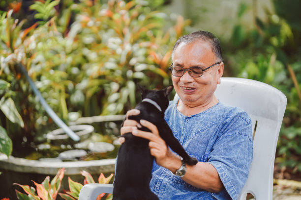 一位老人在花园里高兴地抱着一只黑猫。心理健康治疗的概念。图片下载