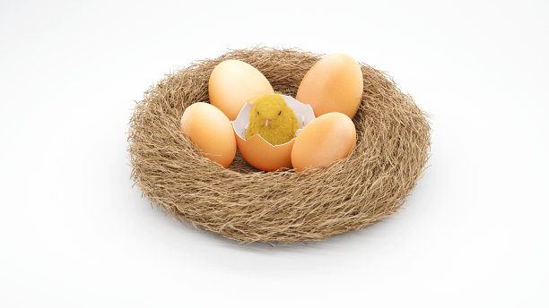 窝里蛋里出鸡。图片下载