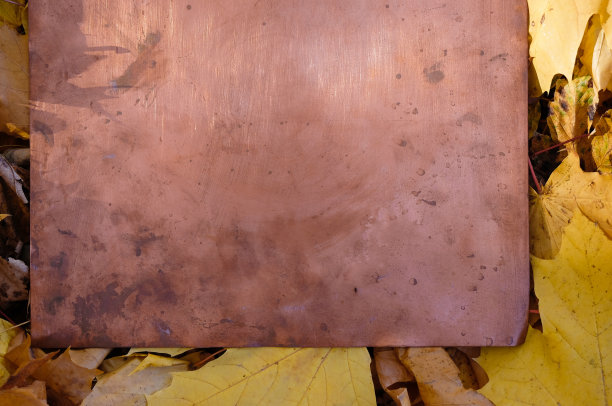 铜板上的金色枫叶背景。模型。副本的空间。图片下载